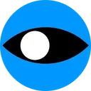 Oculeus Consulting